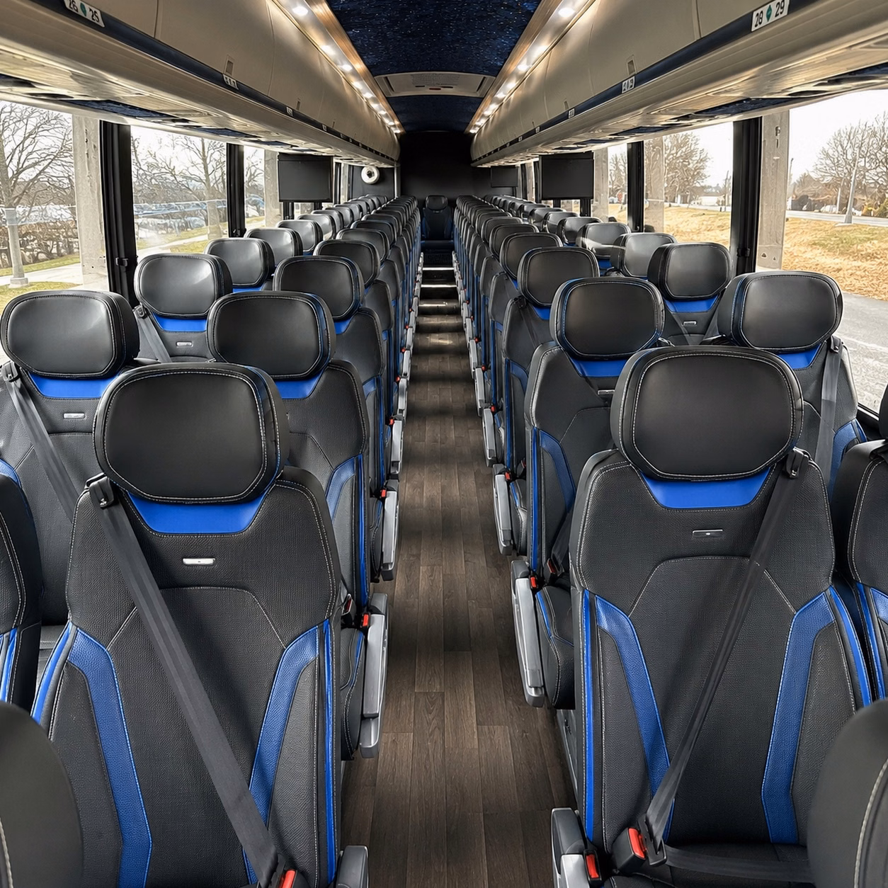 compare buses in minutes not days