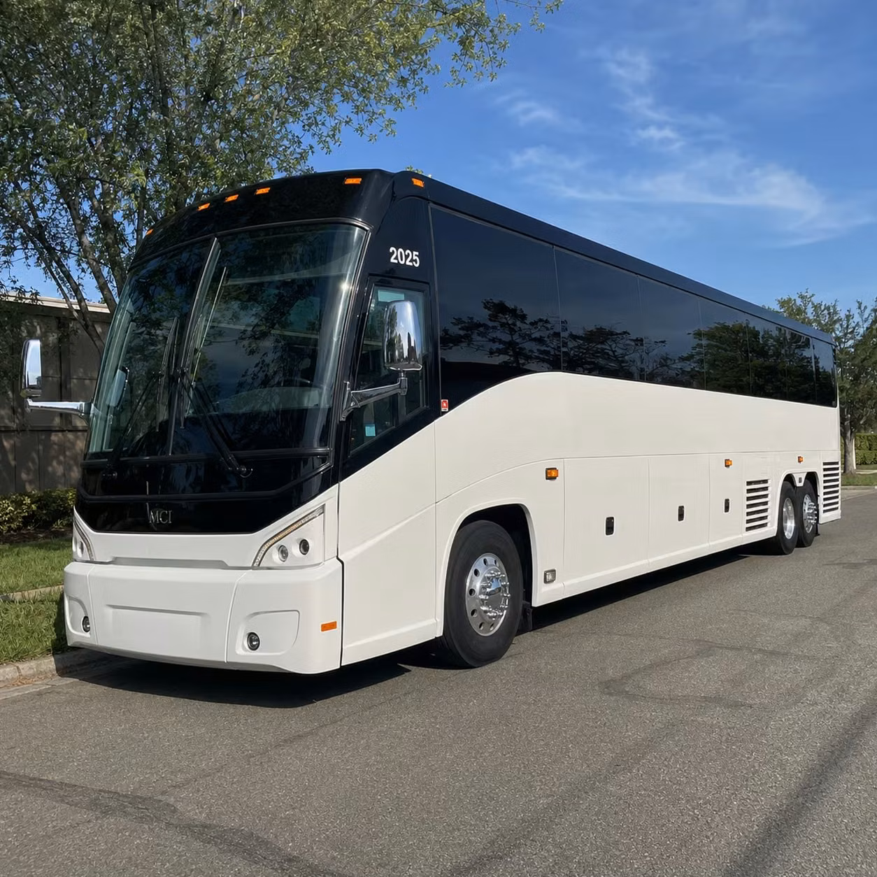 youth group and vbs transportation for roswell congregations